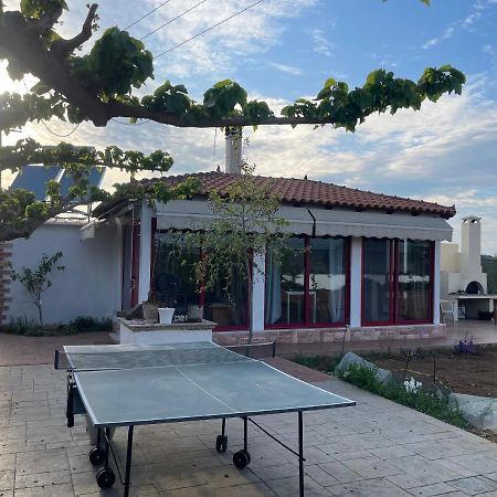 Country Lux Apartment Near Airport Markópoulon エクステリア 写真