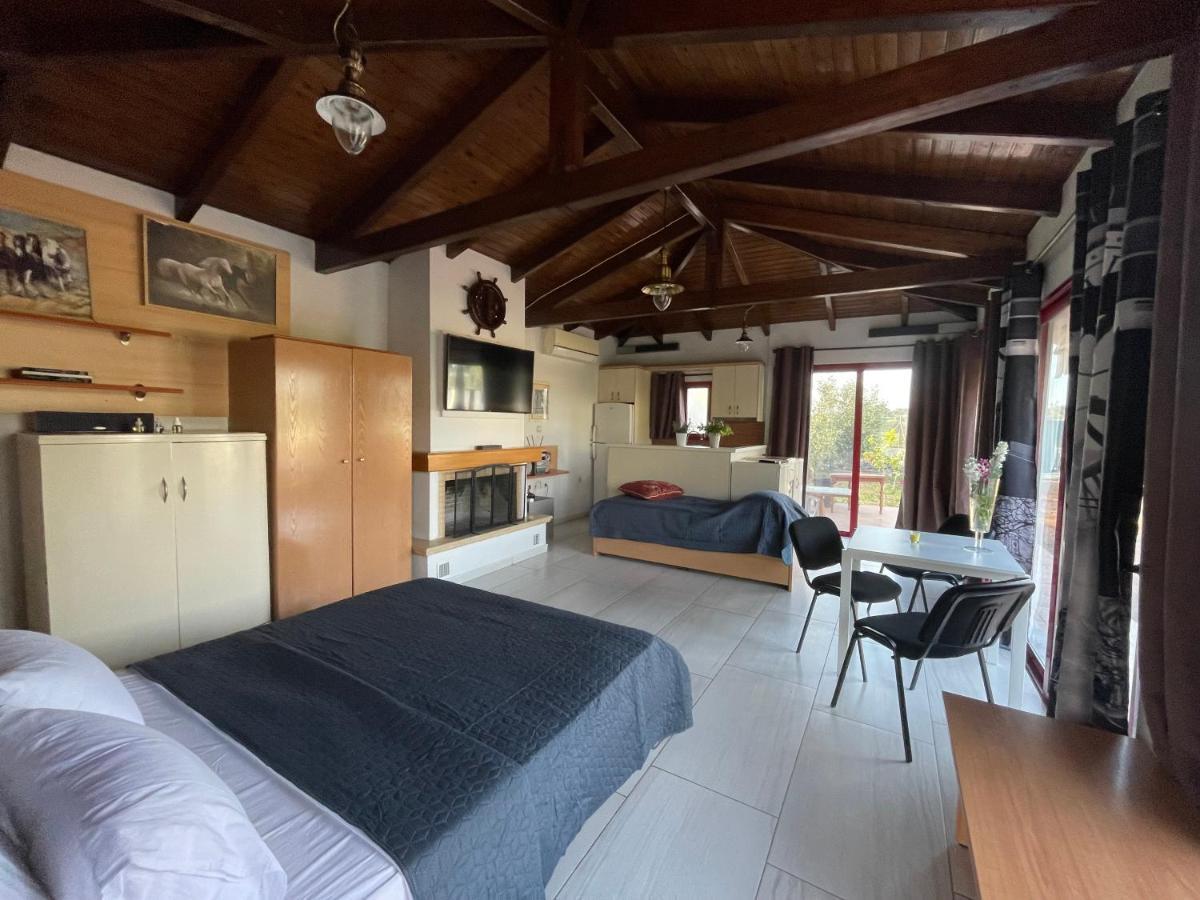 Country Lux Apartment Near Airport Markópoulon エクステリア 写真