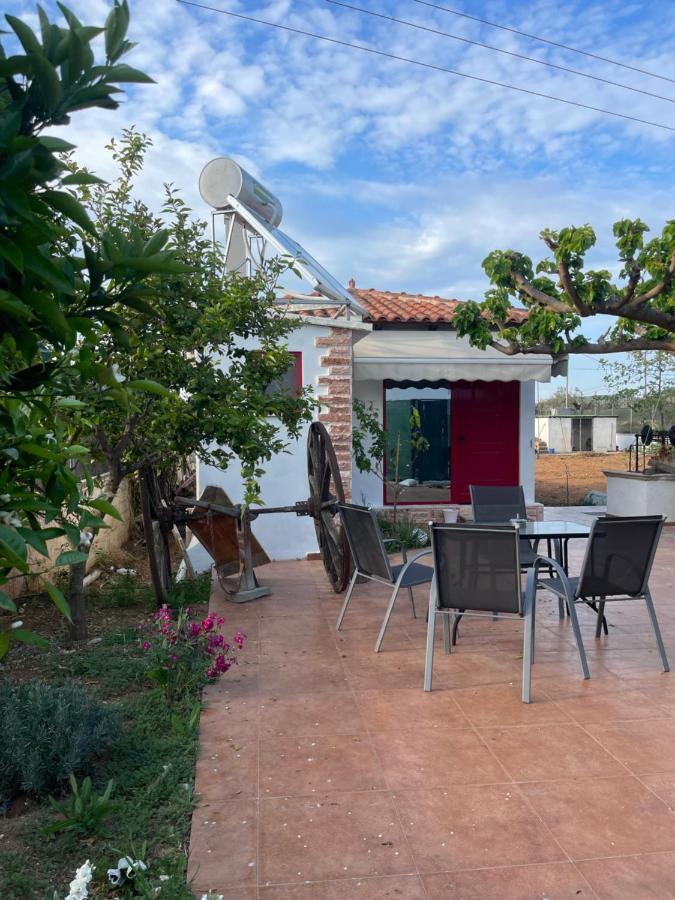 Country Lux Apartment Near Airport Markópoulon エクステリア 写真