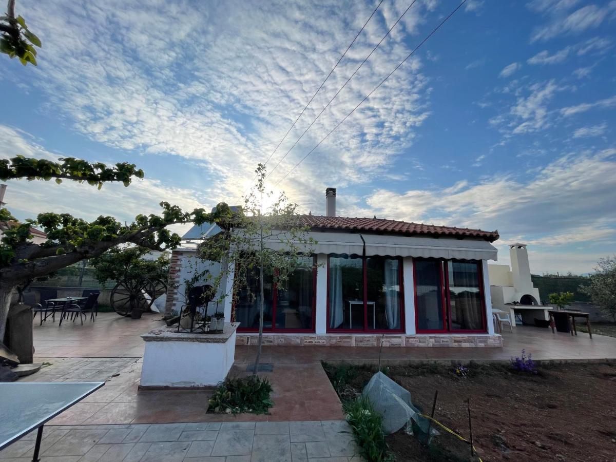 Country Lux Apartment Near Airport Markópoulon エクステリア 写真