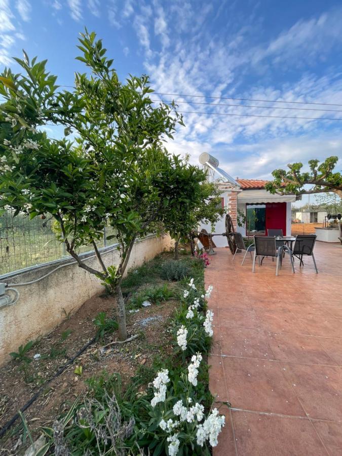 Country Lux Apartment Near Airport Markópoulon エクステリア 写真